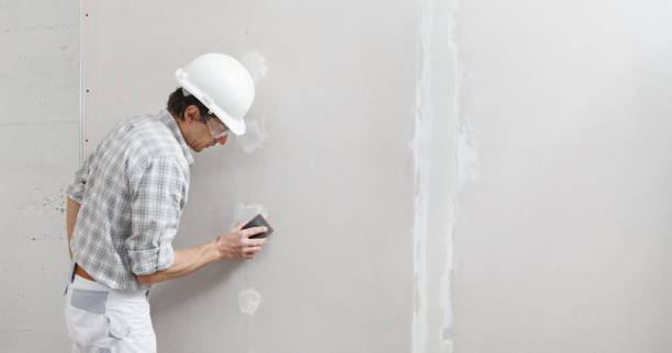 Palmview South, TX Dry wall and painting Company