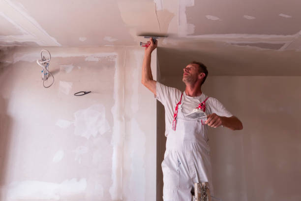 Wallpaper Removal and Painting in Palmview South, TX